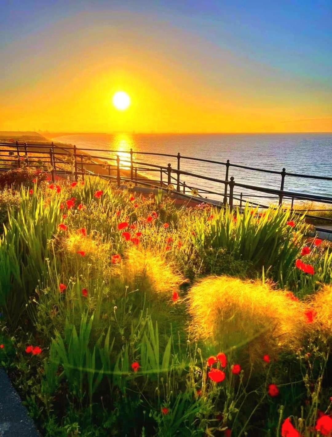 Captain'S Deck Beach Balcony Perfectlysaltburn 外观 照片